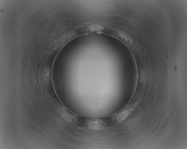 X0000067390321200603311305