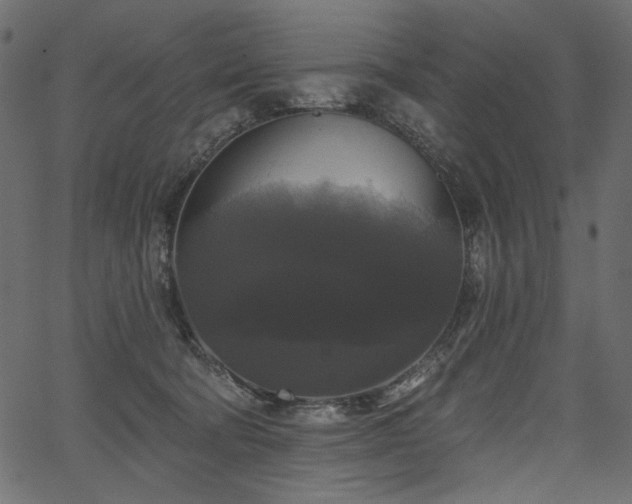 X0000067390322200603311305