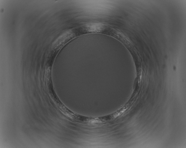 X0000067390325200603311305