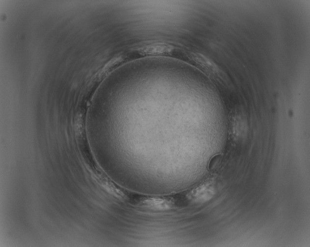 X0000067390326200603311305