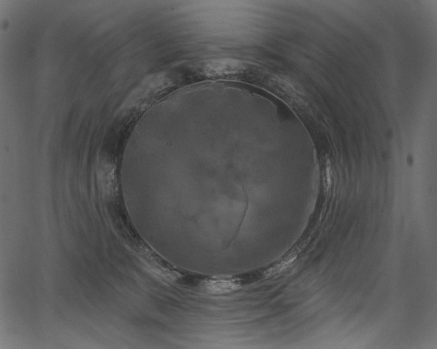 X0000067390327200603311305