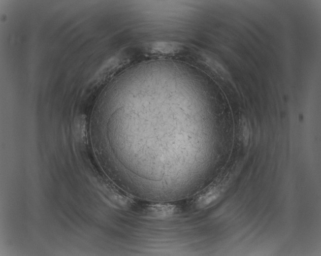 X0000067390328200603311305