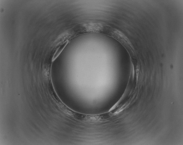 X0000067390329200603311305