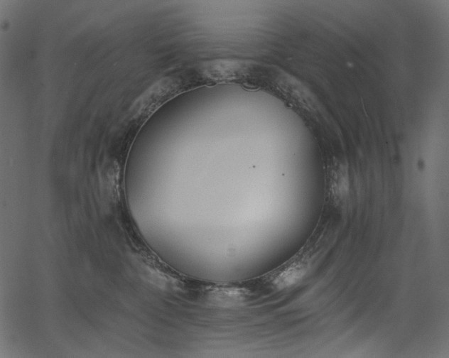 X0000067390332200603311305