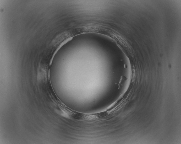 X0000067390333200603311305