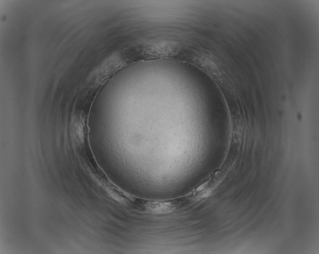 X0000067390334200603311305