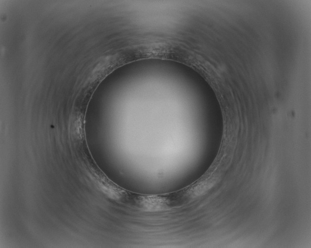 X0000067390336200603311305