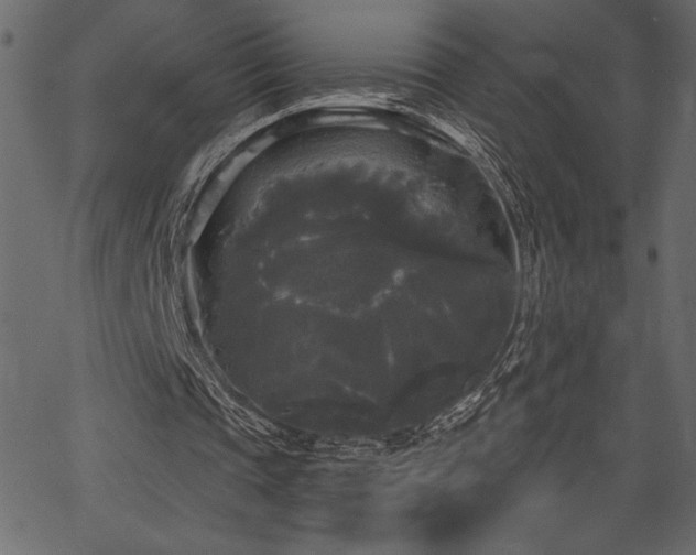 X0000067390337200603311304