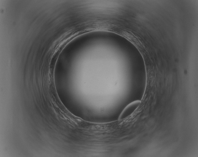 X0000067390338200603311304