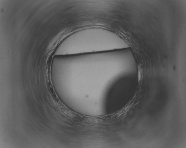 X0000067390339200603311304