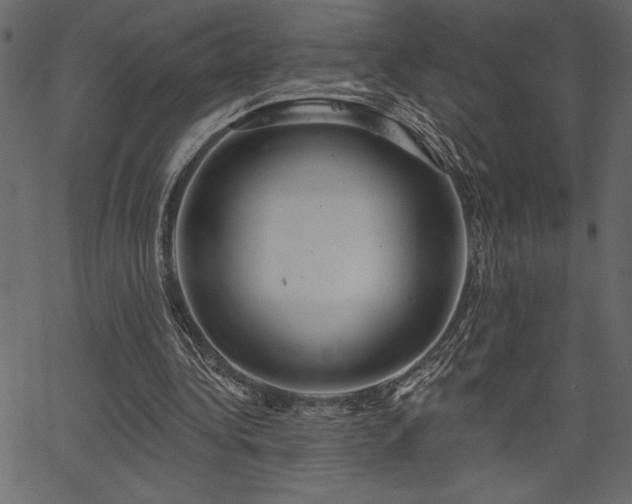 X0000067390340200603311304