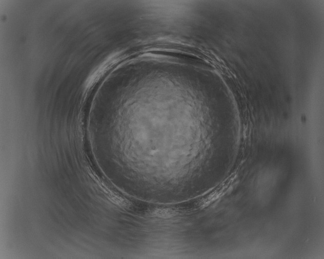 X0000067390341200603311304