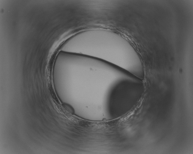 X0000067390343200603311304