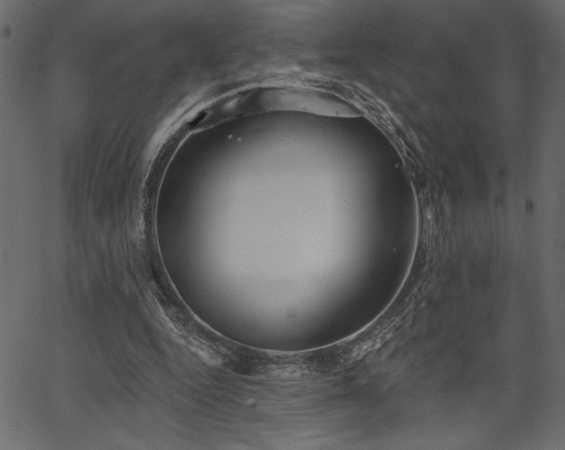 X0000067390344200603311304