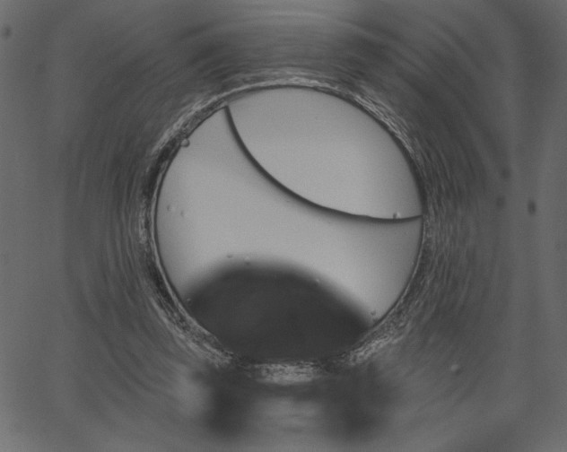 X0000067390347200603311304