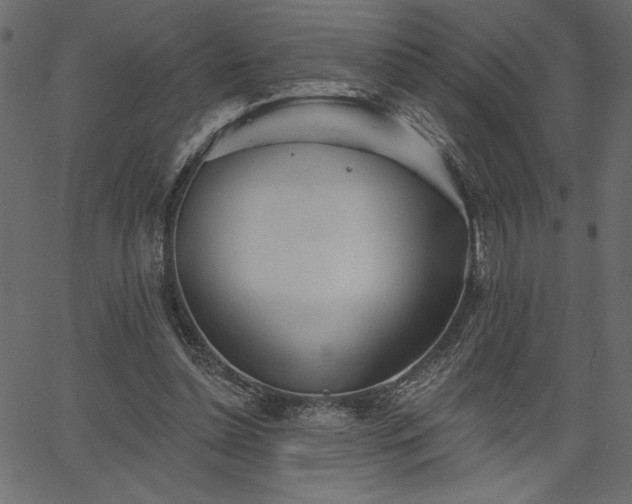 X0000067390348200603311304