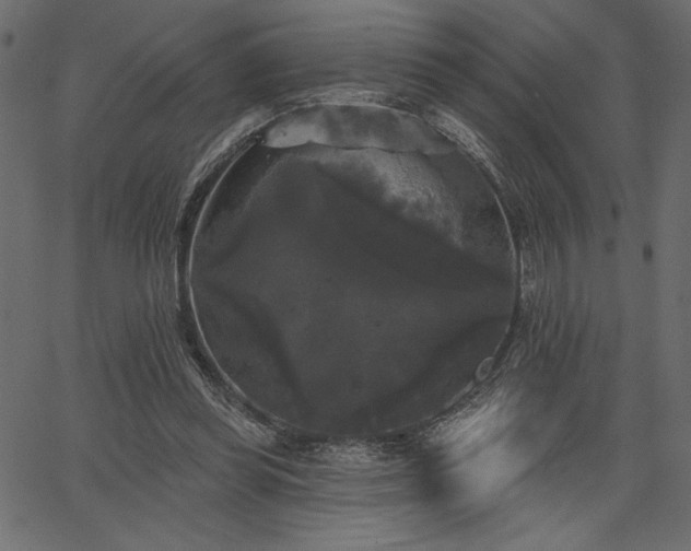 X0000067390349200603311304