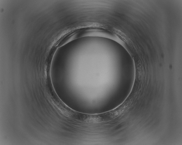 X0000067390350200603311304