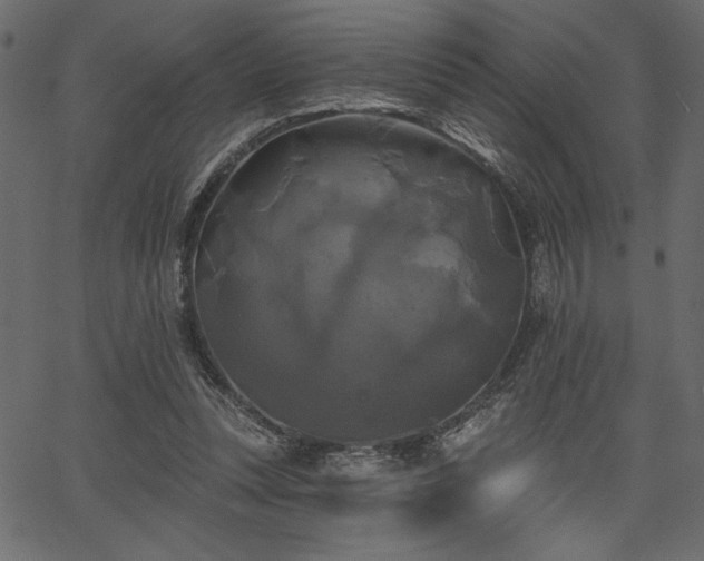 X0000067390351200603311304