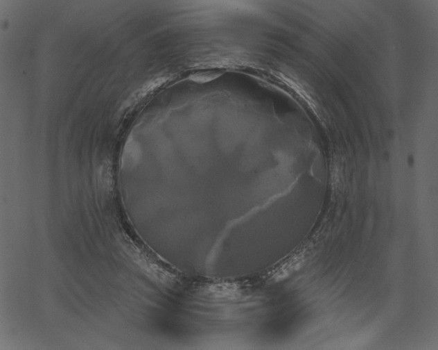 X0000067390353200603311305