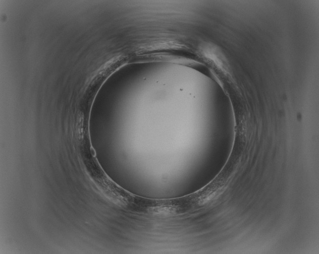 X0000067390356200603311305