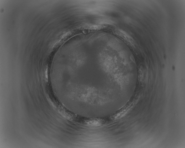 X0000067390358200603311305