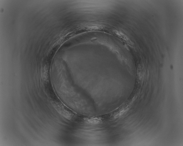 X0000067390359200603311305