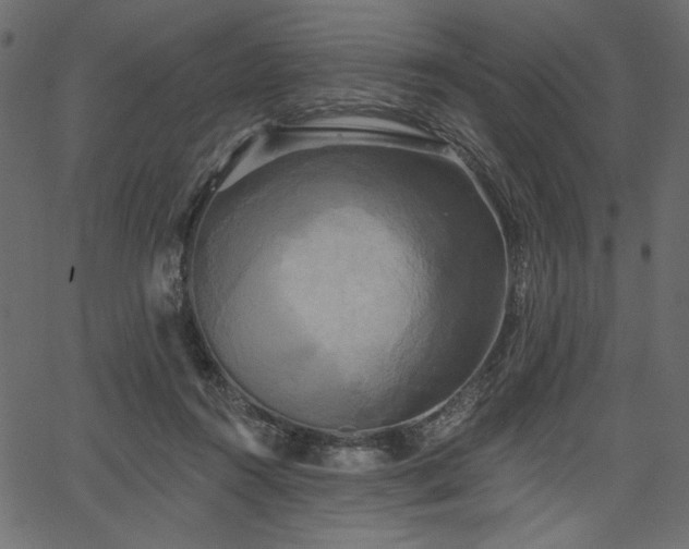 X0000067390360200603311305