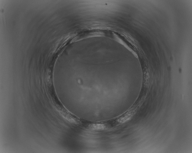 X0000067390361200603311305