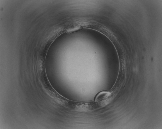 X0000067390362200603311305