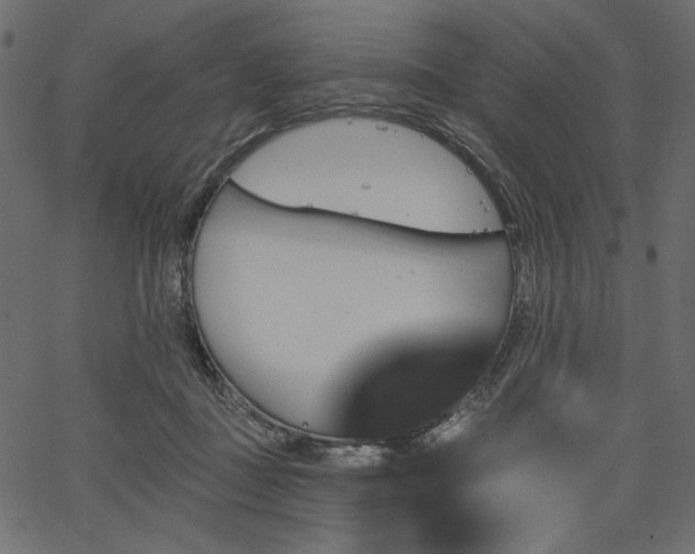 X0000067390363200603311305