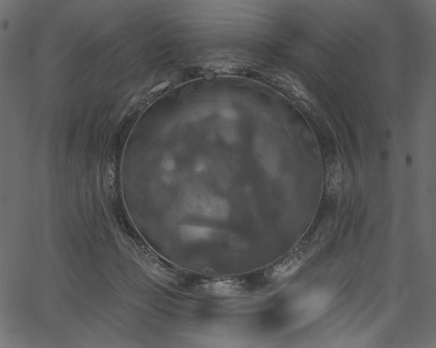 X0000067390365200603311305