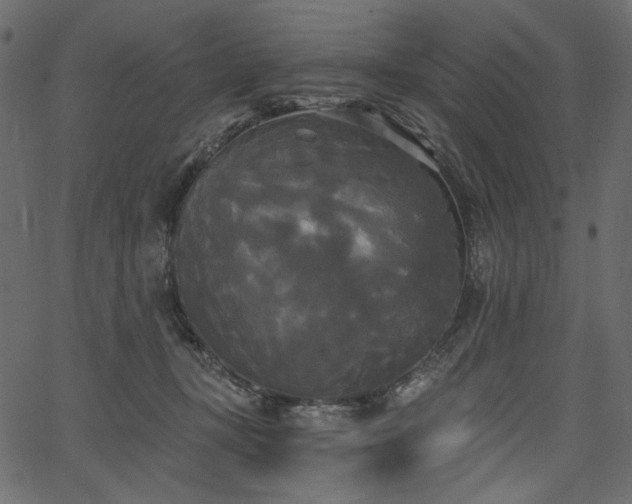 X0000067390367200603311305