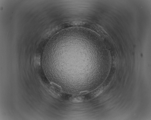 X0000067390368200603311305