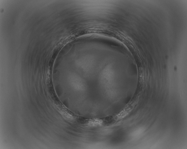 X0000067390369200603311305