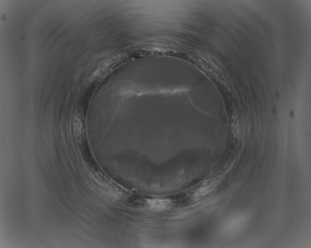 X0000067390371200603311305