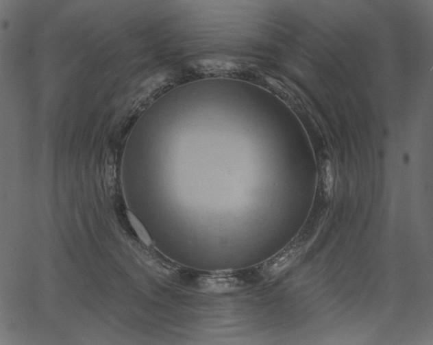 X0000067390372200603311305