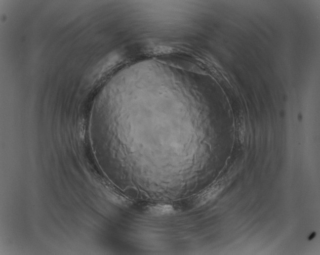 X0000067390374200603311305