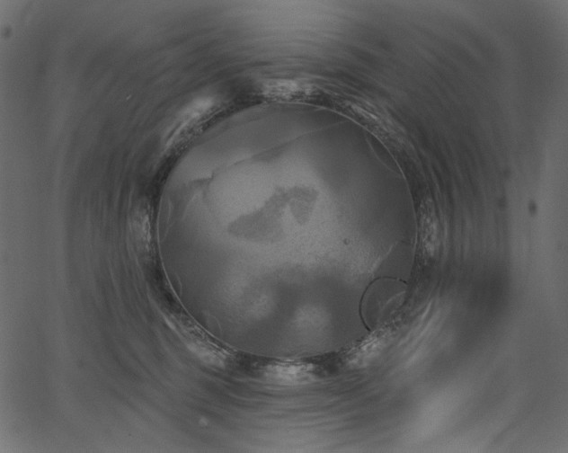 X0000067390375200603311305