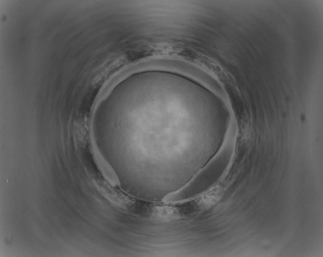 X0000067390376200603311305