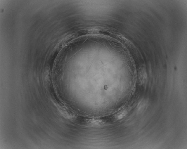 X0000067390379200603311305