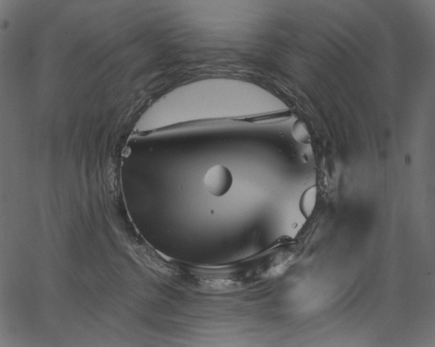 X0000067390380200603311305