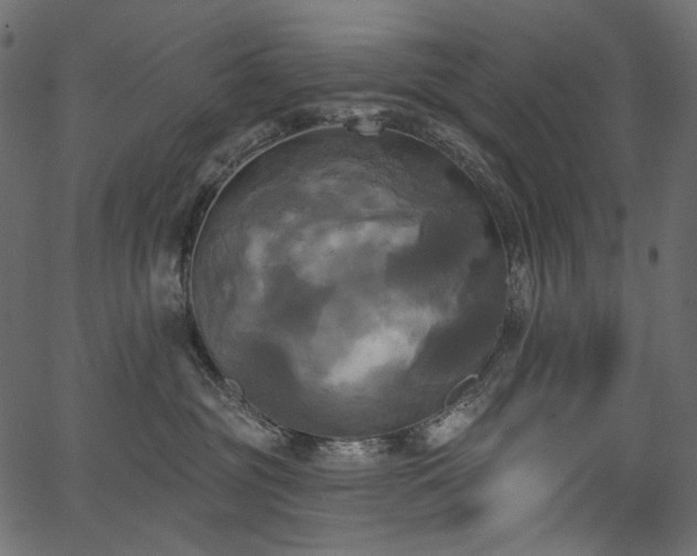 X0000067390381200603311305