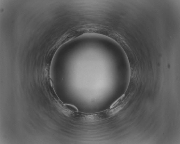 X0000067390382200603311305