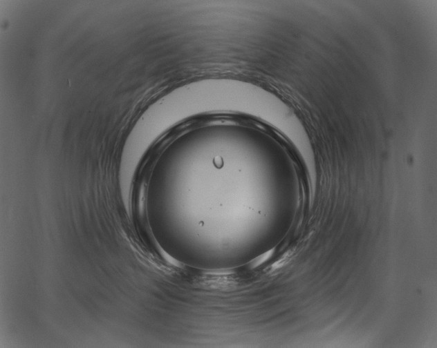 X0000067390383200603311305