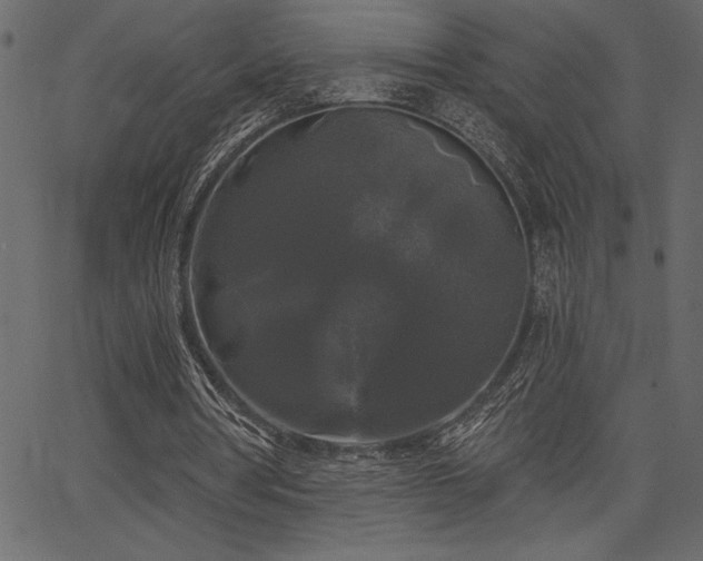 X0000067390386200603311304