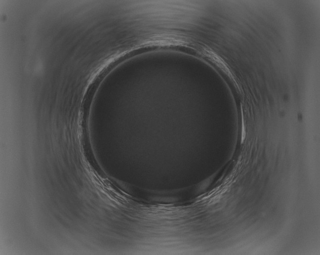 X0000067390387200603311304