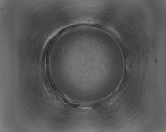 X0000067390388200603311304