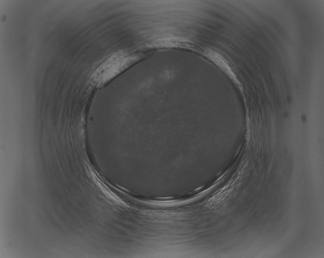 X0000067390389200603311304