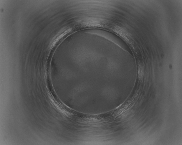 X0000067390390200603311304